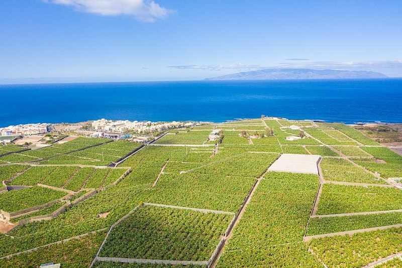 Alcalá la RealApartamento Playa De Mendez公寓 外观 照片